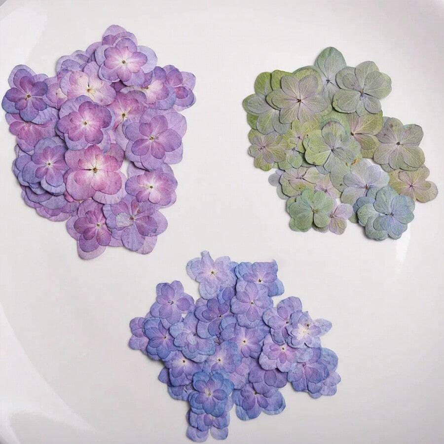 Ein Paket mit natürlichen, mehrblättrigen Hortensien in den Grundfarben, gepresste Blumen, haltbare Blumen für DIY Duftsets, Make-up Foto-Requisiten, Nagellack-Harz-Füllungen, kreative DIY Lesezeichen, Fotorahmen, Aromatherapie-Kerzenherstellung, Seifenherstellung, Handyhüllen, Spiegeldekoration und mehr. Kreative DIY Heimdekoration, Valentinstags-Geschenke, Party-Gastgeschenke, Geburtstags-Geschenke, Neujahrs-Geschenke, Weihnachtsgeschenke. 100% natürliche getrocknete Blumen