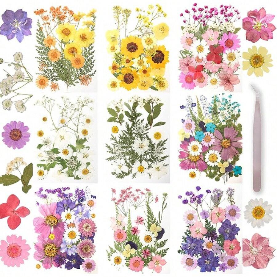 50Pcs Dried Pressed Flowers Resin Mould Real Pressed Flowers Natural Dry Leaves Bulk Mixed Colorful Daisy Herbs Kit With Tweezers Scrapbooking Candle Jewelry Crafts Making Nails(Purple)