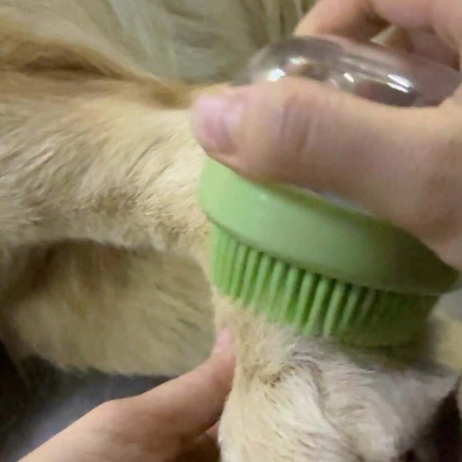 Kit de Lavagem, Corte e Secagem a Sopro para Pet Conjunto de Cuidados de Higiene para Gatos e Cachorros, Pente Desinfetante de Gatos, Pente para Nós, Pente de Agulha, Pente de Fila, Pente para Pulgas, Aparador de Unhas de Pet, Afiador de Unhas, Escova de Banho de Pet, Pente de Pet, Escova Limpadora de Pelos de Pet, Suprimentos Completos para Cachorros