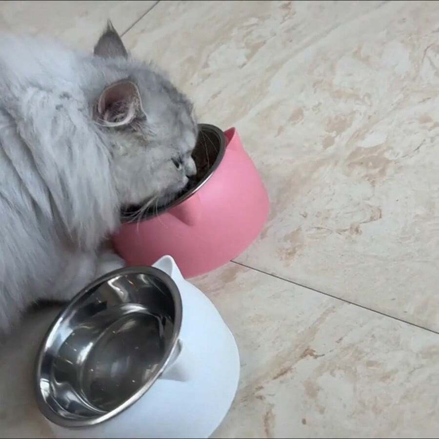 1pc 15° Tilted Stainless Steel Bowl With Cute Cat Ear Design