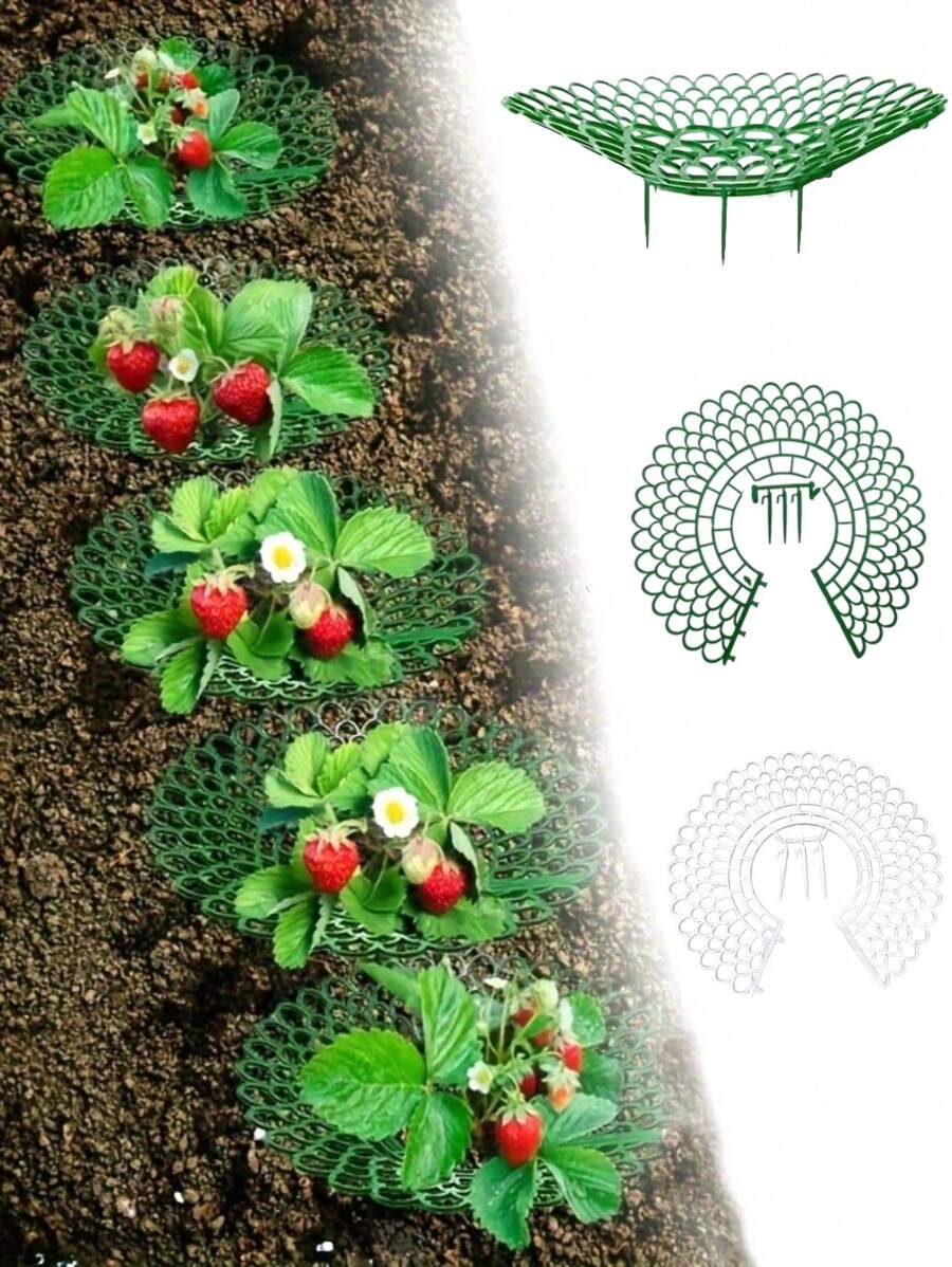 1/3/5/10Pcs Upgraded Patent Strawberry Bracket | 4-Leg Three Dimensional Support Frame Anti Dumping, Anti Rotten Fruit, Anti Pest, Breathable Tray, Suitable For Balconies, Potted Plants, And Gardens