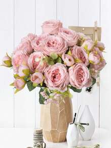 Pivoine-Rose
