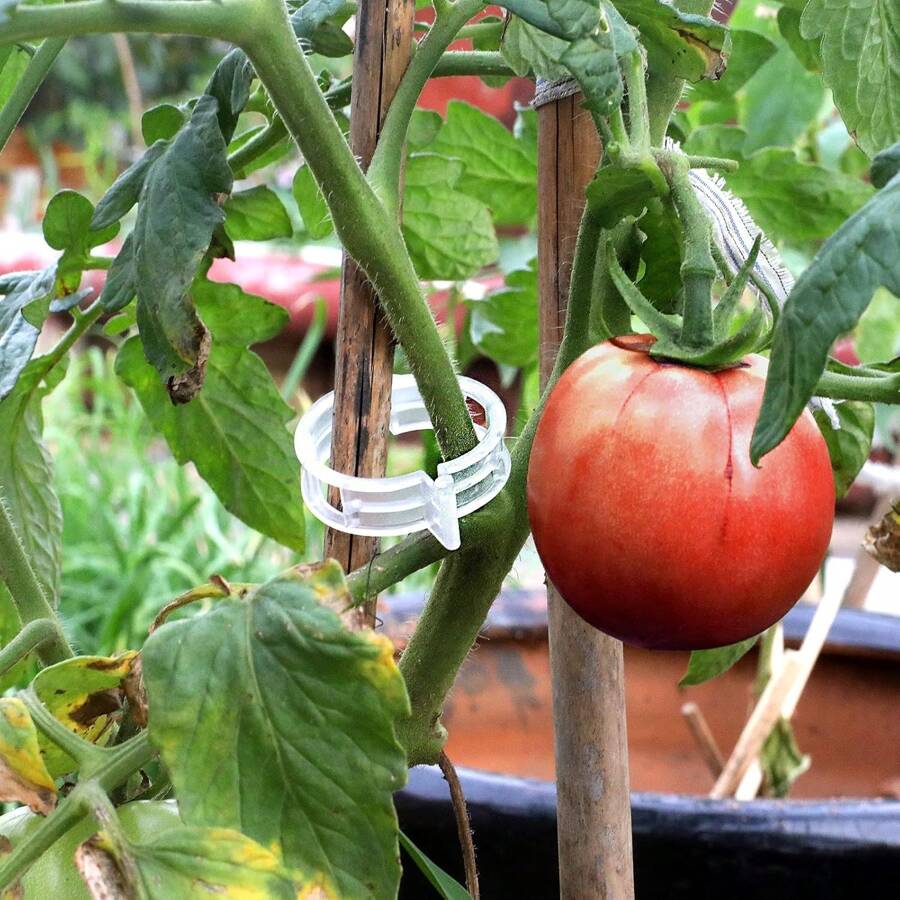 100 supports de treillis en plastique pour vignes, tomates, plantes potagères, clips de jardin pour une croissance verticale, rend les plantes plus saines
