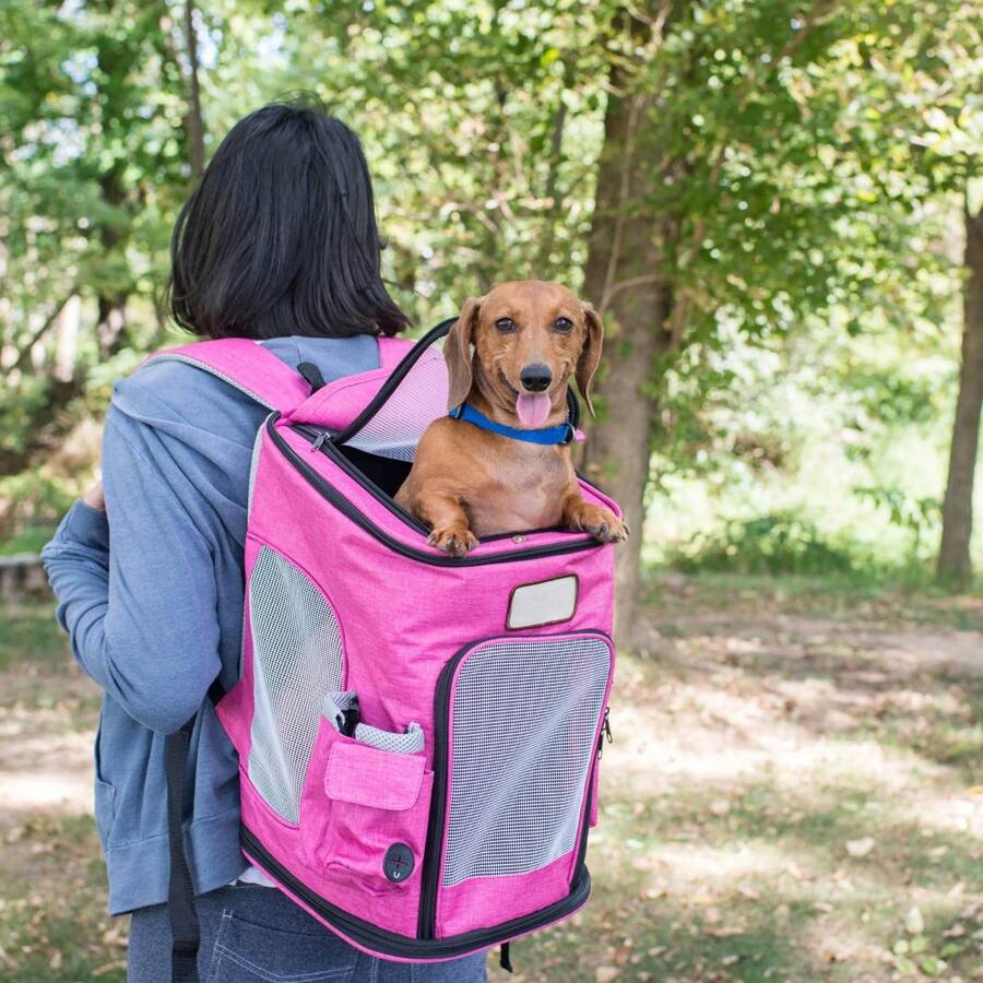 Foldable Pet Backpack Carrier – Soft-Sided Travel Bag For Small Dogs & Cats, Breathable, Dual-Entry