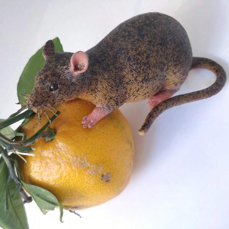 Juguete antiestrés de goma blanda TPR para adolescentes, diseños de pez globo, pulpo, rana, cocodrilo, escorpión y serpiente, modelo de animal realista, apto para cumpleaños, Día de los Inocentes, regalos de broma, fiestas festivas