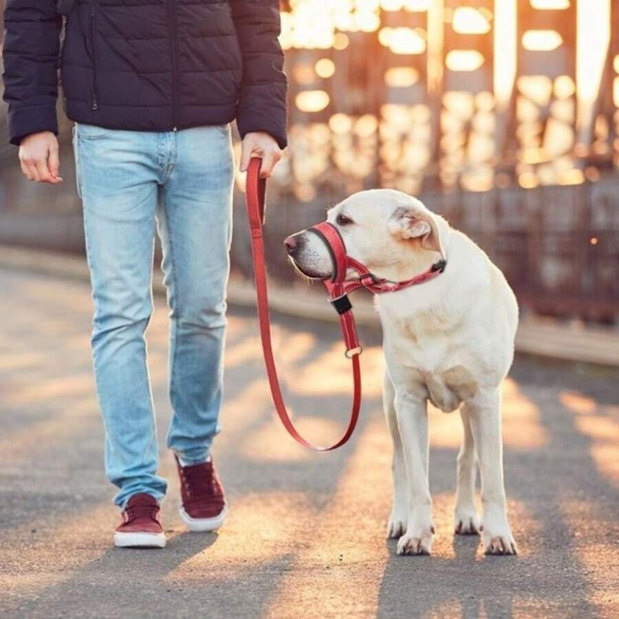 Correa ajustable para mascotas, bozal de perro, máscara antimordedurasparaentrenamiento