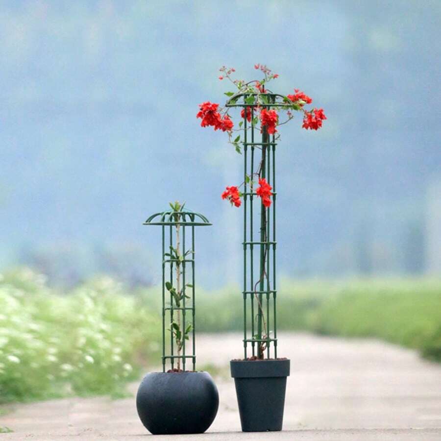 Kleine einzelne Ring-Schirm Stil Garten Rankgitter, Eisendraht Kletter Rank Unterstützung, ideal für Laterne Blume, Rose, Pilzkopf Pflanzenregal
