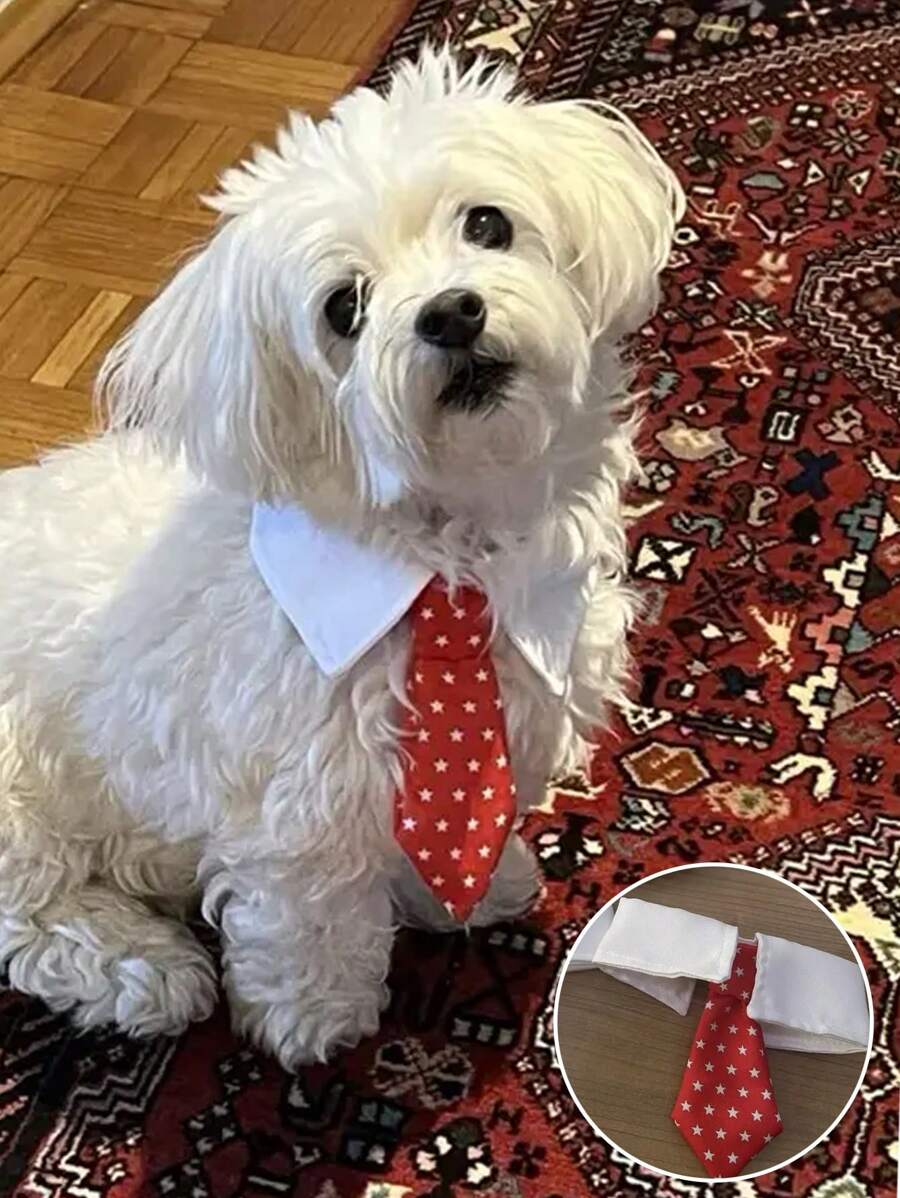 1 pezzo Accessori alla moda per collari di cani e gatti: papillon, collane e costumi