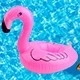 Red Flamingo