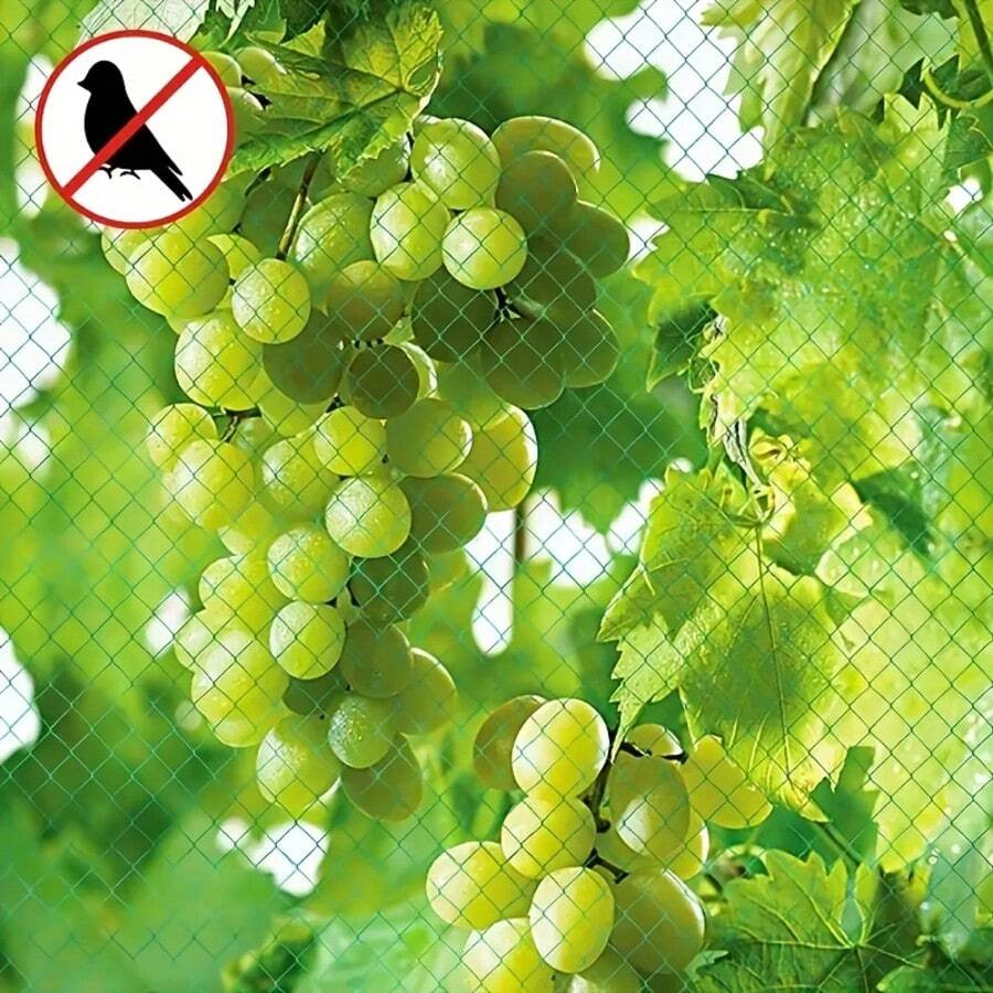 1 Pack, Bird Netting For Garden, 13Ft X 33Ft Reusable Garden Netting Plants Barrier, Plant Netting Mesh Net Protect Fruit Seedlings Plants From Birds, Cicadas, Squirrels, Rodents