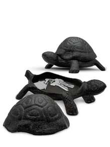 tortue