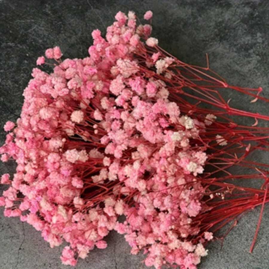 100pcs Delicate Dried Pink Baby's Breath Flowers, Suitable For Vase Filler, Wedding Decor, Home & Office Decoration, Party, Garden, Card Making, DIY Floral Arrangement