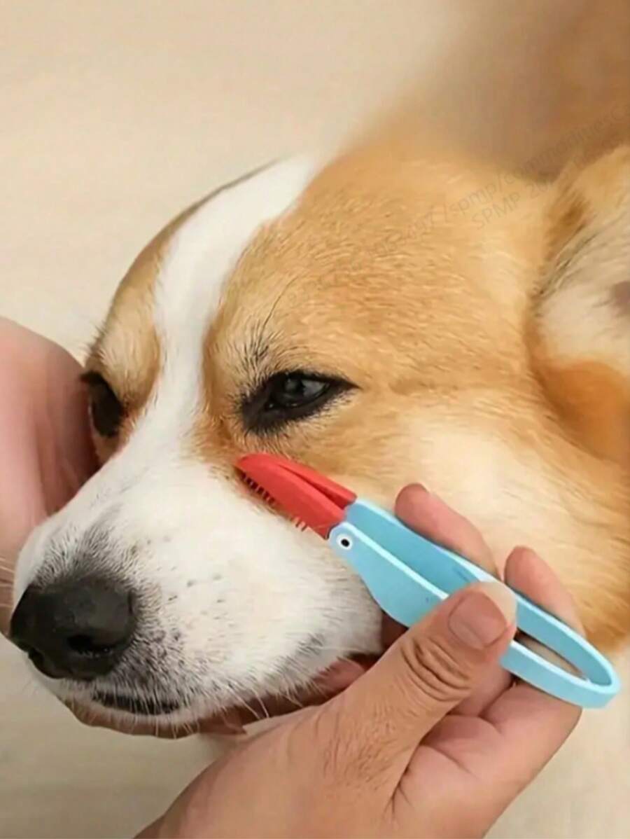 1 set de brosse pour les yeux d'animal de compagnie avec caoutchouc doux, 1 brosse pour enlever les taches de larmes d'animal de compagnie avec manche, brosse facile à utiliser pour enlever la saleté des yeux, convient pour les chats et les petits chiens