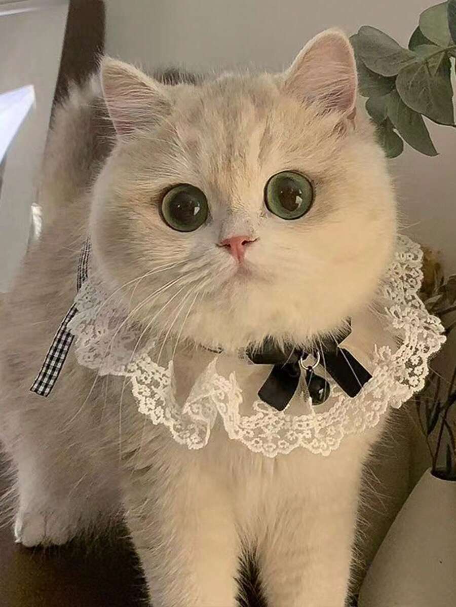 1pc Cute Bow Kitty Princess Style Bib Necklace With Lace Collar And Bell Pendant