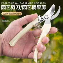 1PCS Beige Straight Head