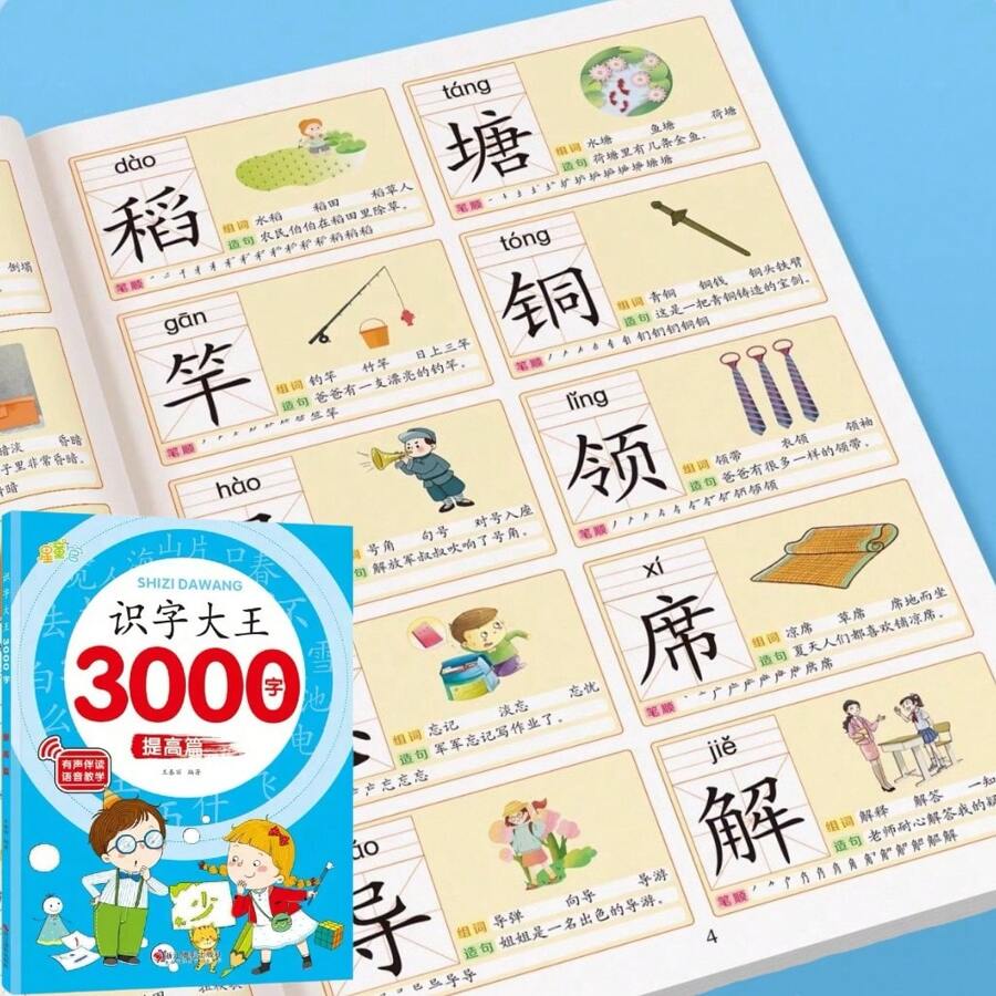 Quaderno cinese di 70 pagine, libro di vocabolario cinese da 750 parole, apprendimento e comprensione della lingua cinese, pratica dei caratteri cinesi, materiali scolastici di istruzione cinese, ritorno a scuola