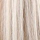 Blonde Ombre