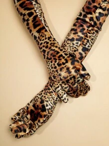 Full-time Leopard
