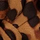 Brown Leopard Print