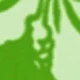 Green Bottom