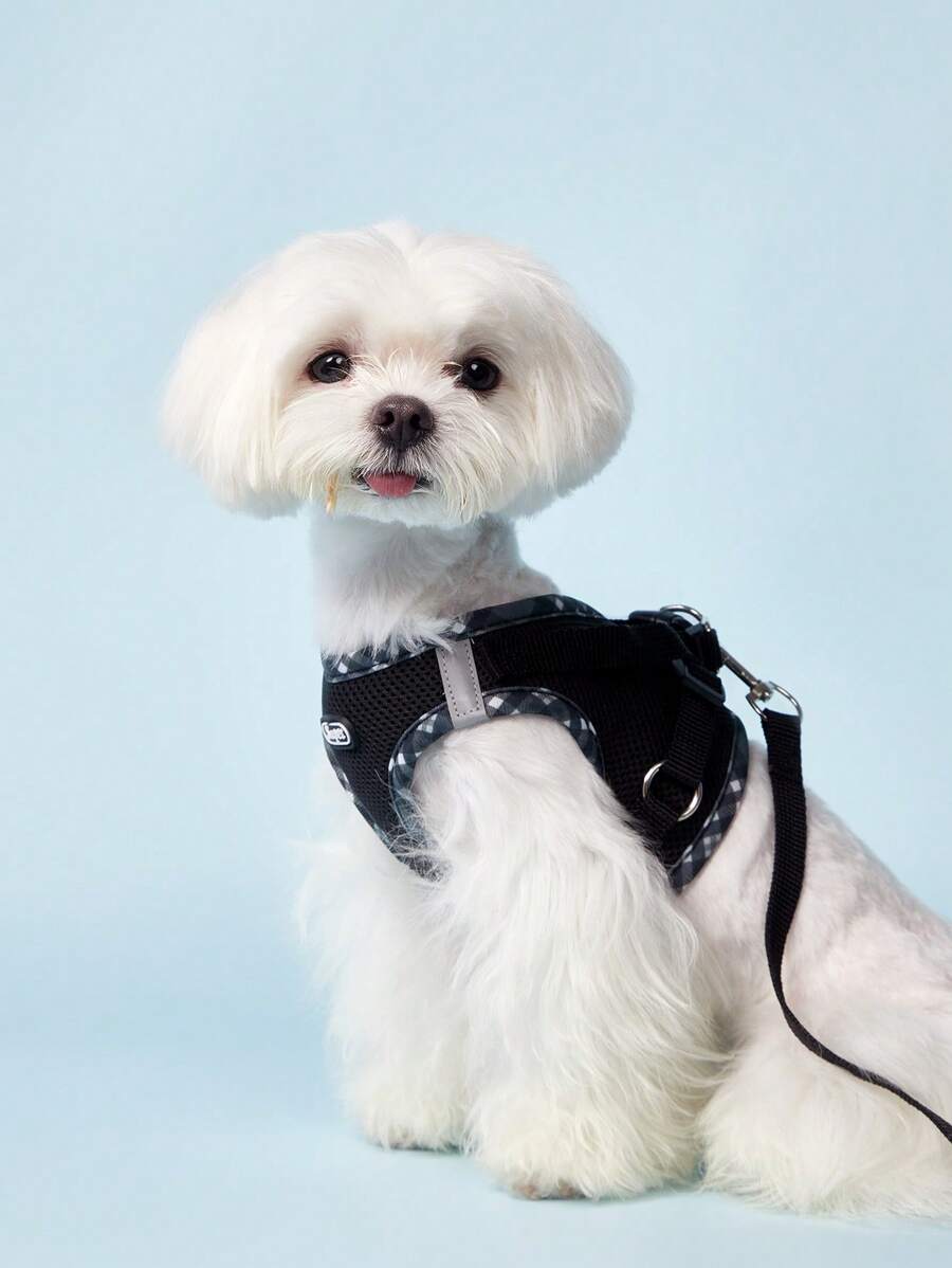 PETSIN Breathable Reflective Plaid Edge Chest And Back Harness Set, Suitable For Small Dogs, Including A Leash, Suitable For Both Cats And Dogs For Indoor And Outdoor Use