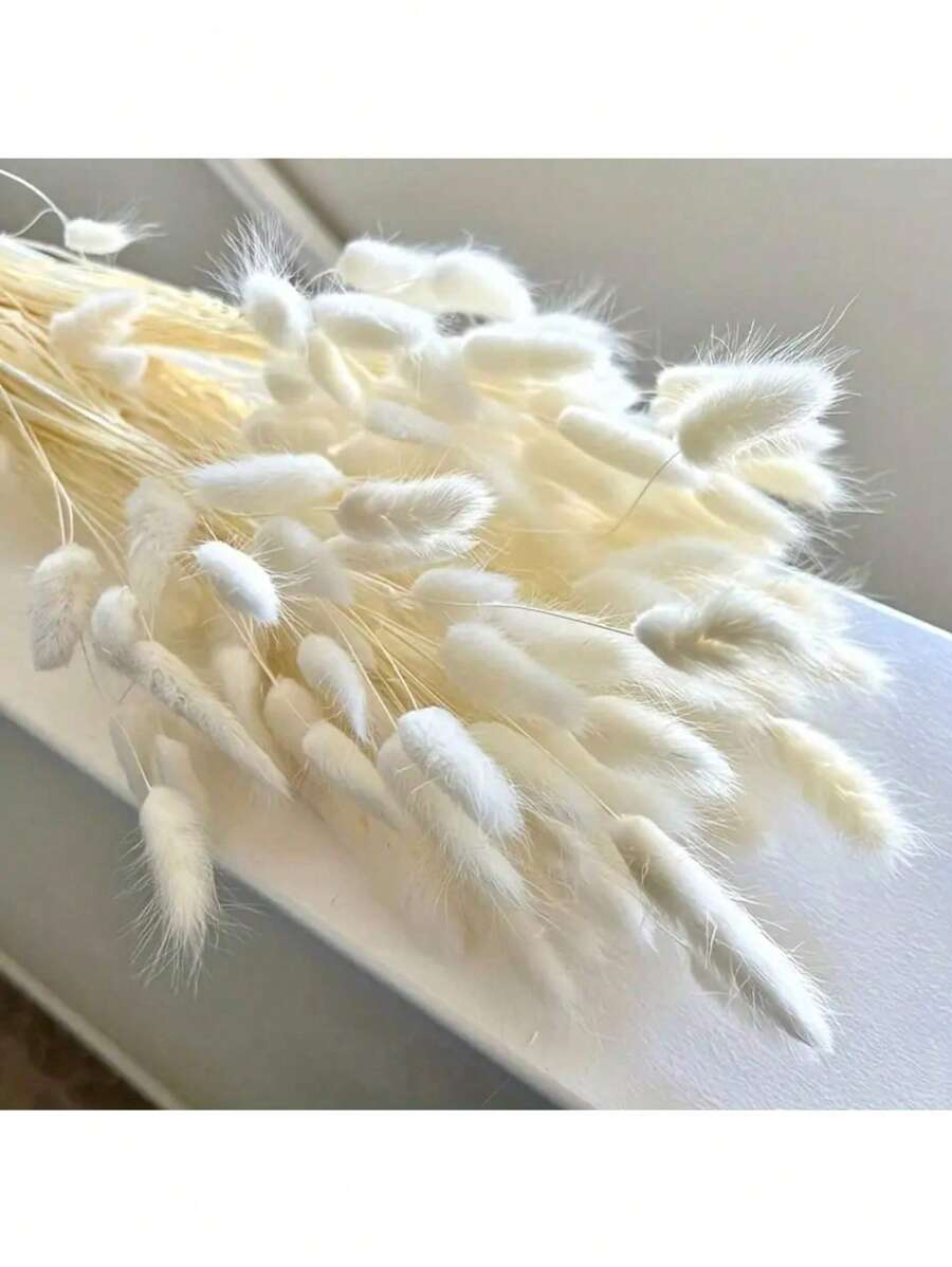 60/120 piezas de Rabo de Conejo Blanco de 17" - Paquetes de Hierba Lagoulus para Decoración Bohemia del Hogar, Cocina y Boda | Perfecto para Navidad, Pascua, Día de San Valentín, Acción de Gracias y Regalos de Graduación, Decoración de Otoño