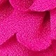 Rosa Fucsia