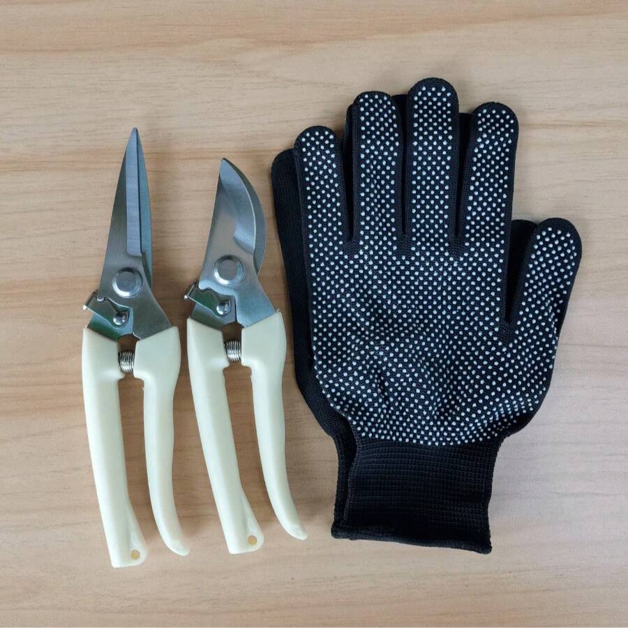 Tijeras de podar de acero inoxidable con mango de color blanco marfil, hojas rectas y curvas para jardinería, horticultura, poda de bonsái