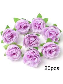 25