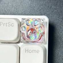 Griffoir laser pour chat - Fond transparent