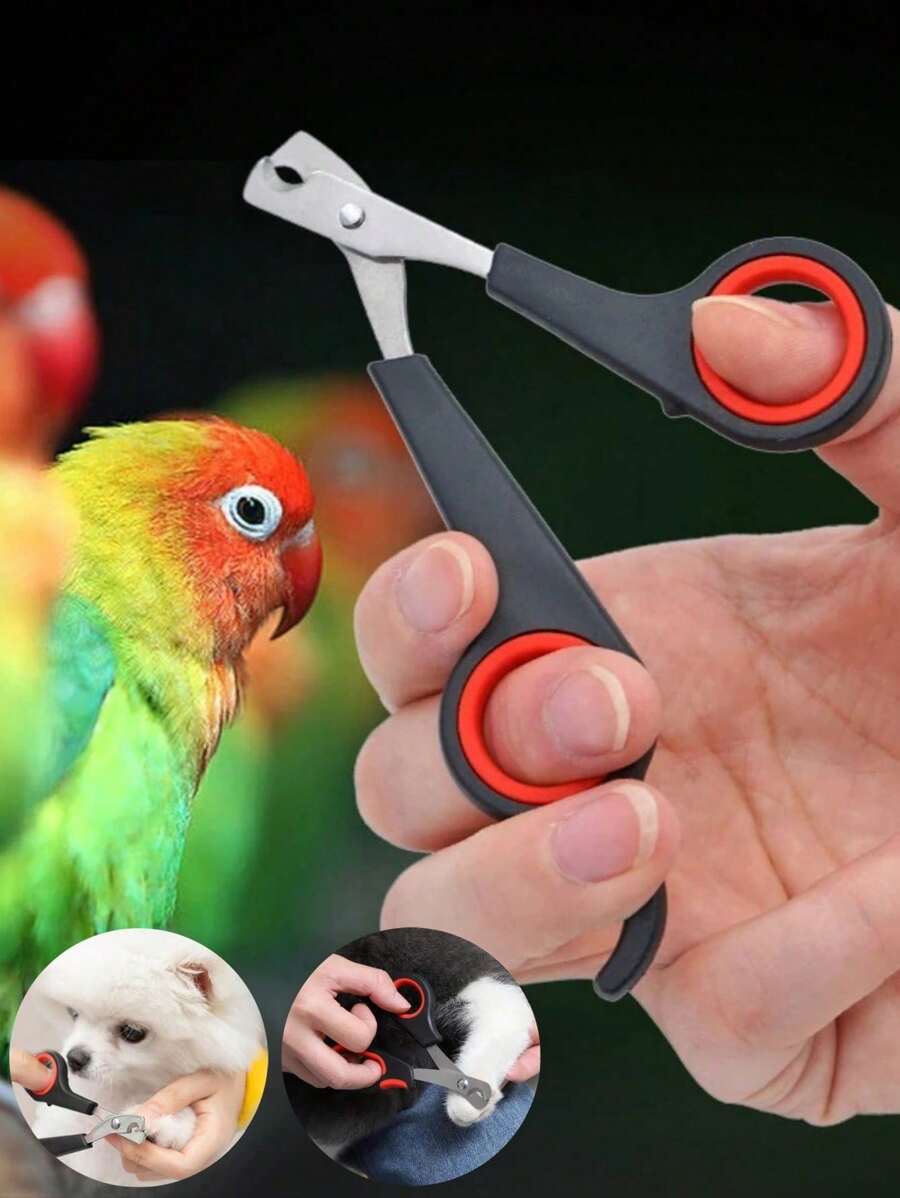 1/5Pcs Stainless Steel Pet Nail Clippers - High-Precision Trimmer Scissors For Dogs, Cats, Birds, Parrots & Guinea Pigs | Durable Claw & Paw Cutter With Ergonomic Non-Slip Handle | Professional Grooming Tool For Small Animals - Easy To Use & Stress-Free Nail Trimming & Shaping