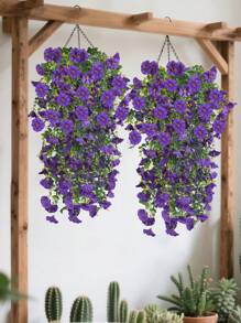 Purple-eucalyptus Morning Glory
