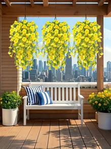 Yellow-eucalyptus Morning Glory