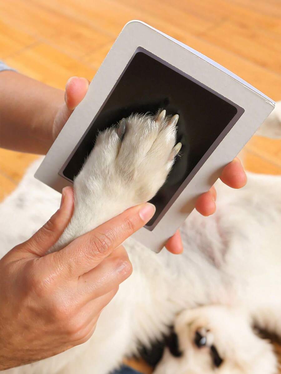 3 sets Kit con huella de pata de mascota, que incluye 1 almohadilla de tinta y 2 tarjetas para sellar, regalos para Halloween, Acción de Gracias y Navidad, recuerdos para registrar el crecimiento