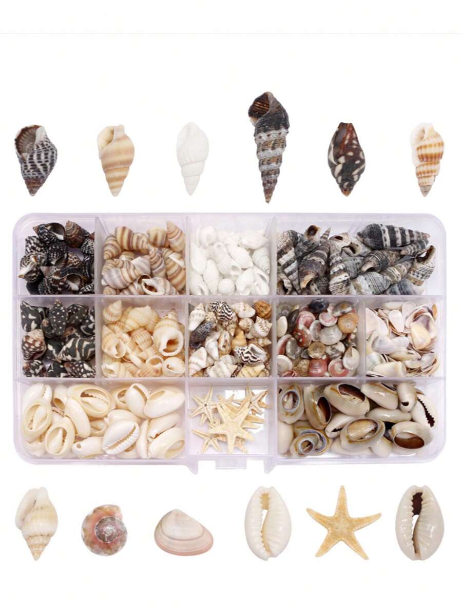 405-430 Peças Conchas Naturais Feitas à Mão Acessórios de Artesanato e Joalheria DIY