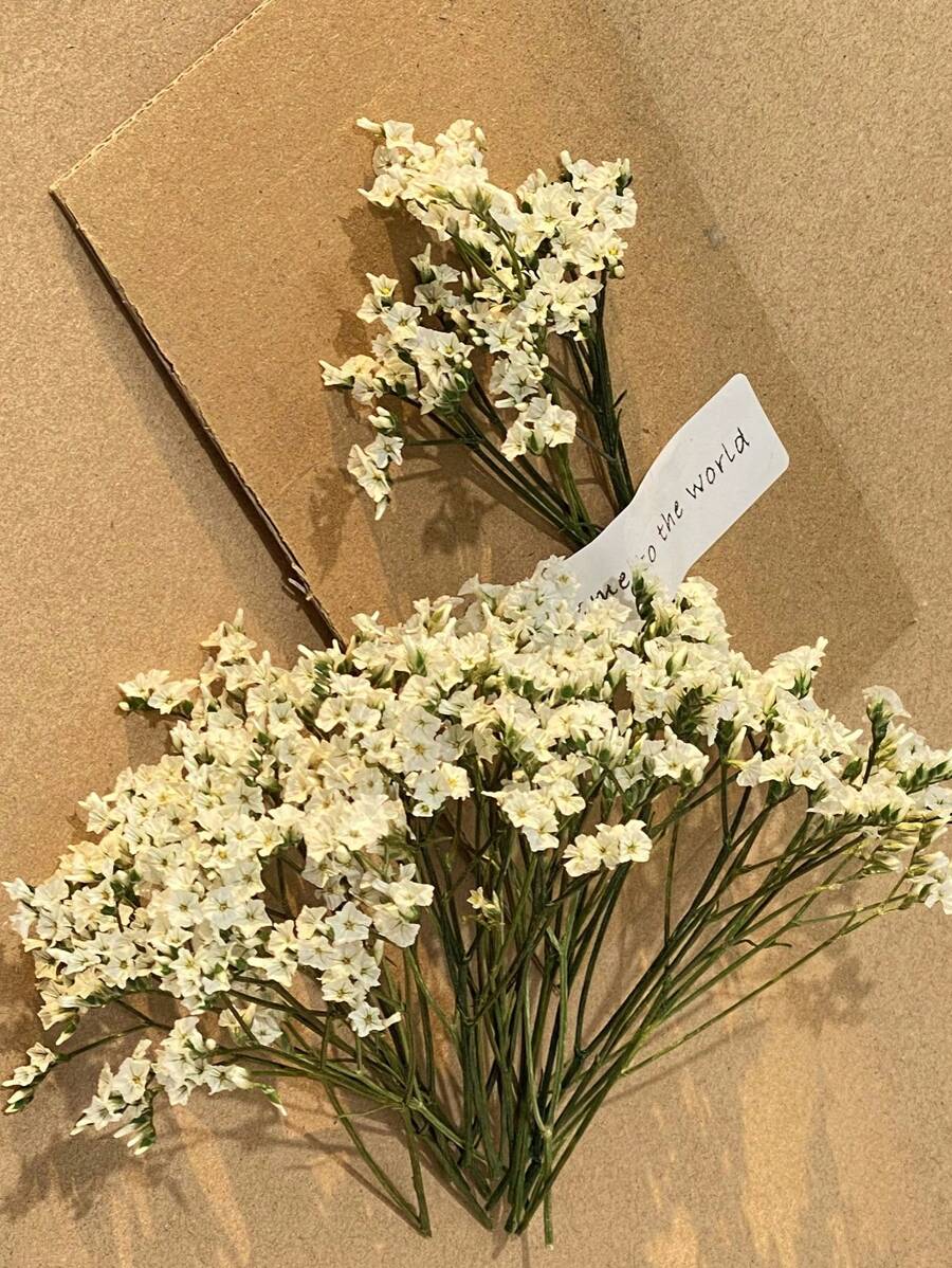 25/50/100/300pcs Preserved Baby's Breath Flowers, For Aromatherapy, Floral Arrangements, Home Decor, Hair Accessories, Wedding Wreaths