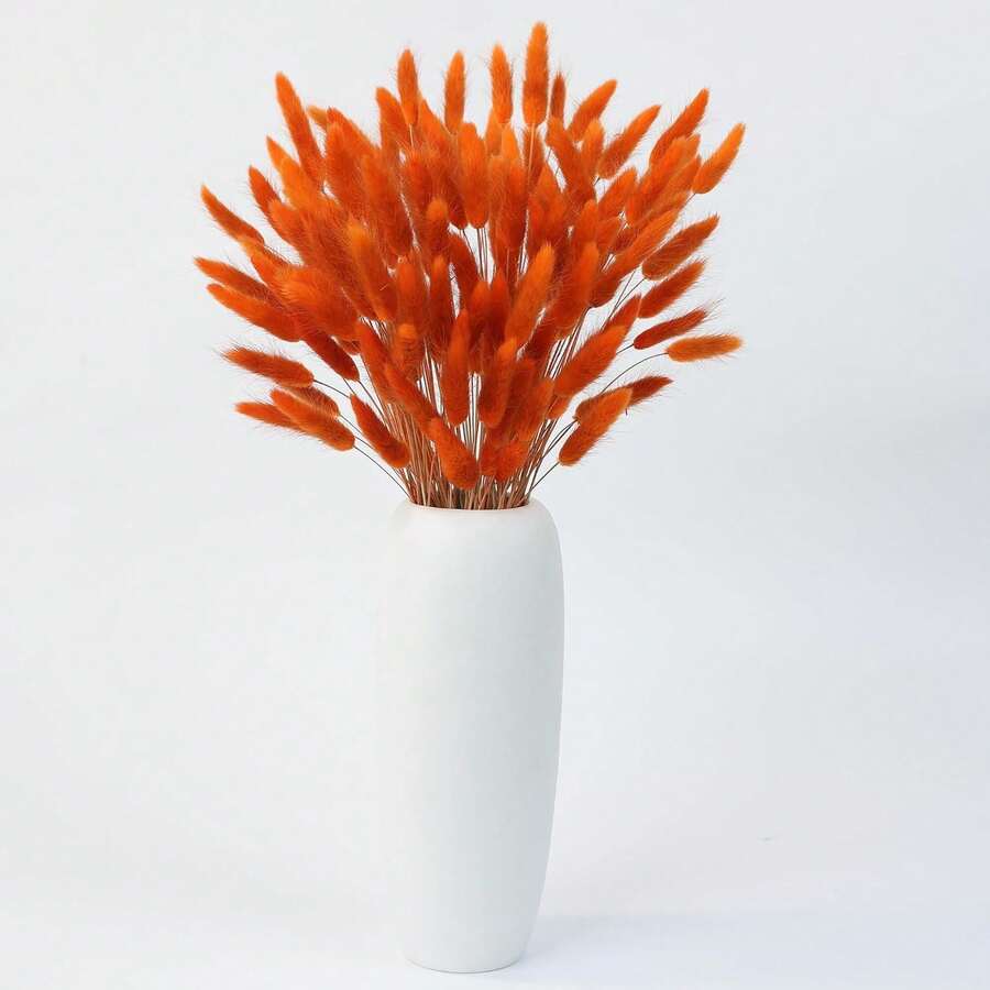 30/60/90 pièces Fleurs séchées de queues de lapin, fleurs séchées de Lagurus ovatus orange, herbe de pampa, arrangement floral séché pour la décoration de style bohème d'automne, mariage d'automne, décoration de ferme de Noël, décoration extérieure, décoration d'automne