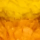 Yellow Orange