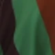 Green Coffee Color