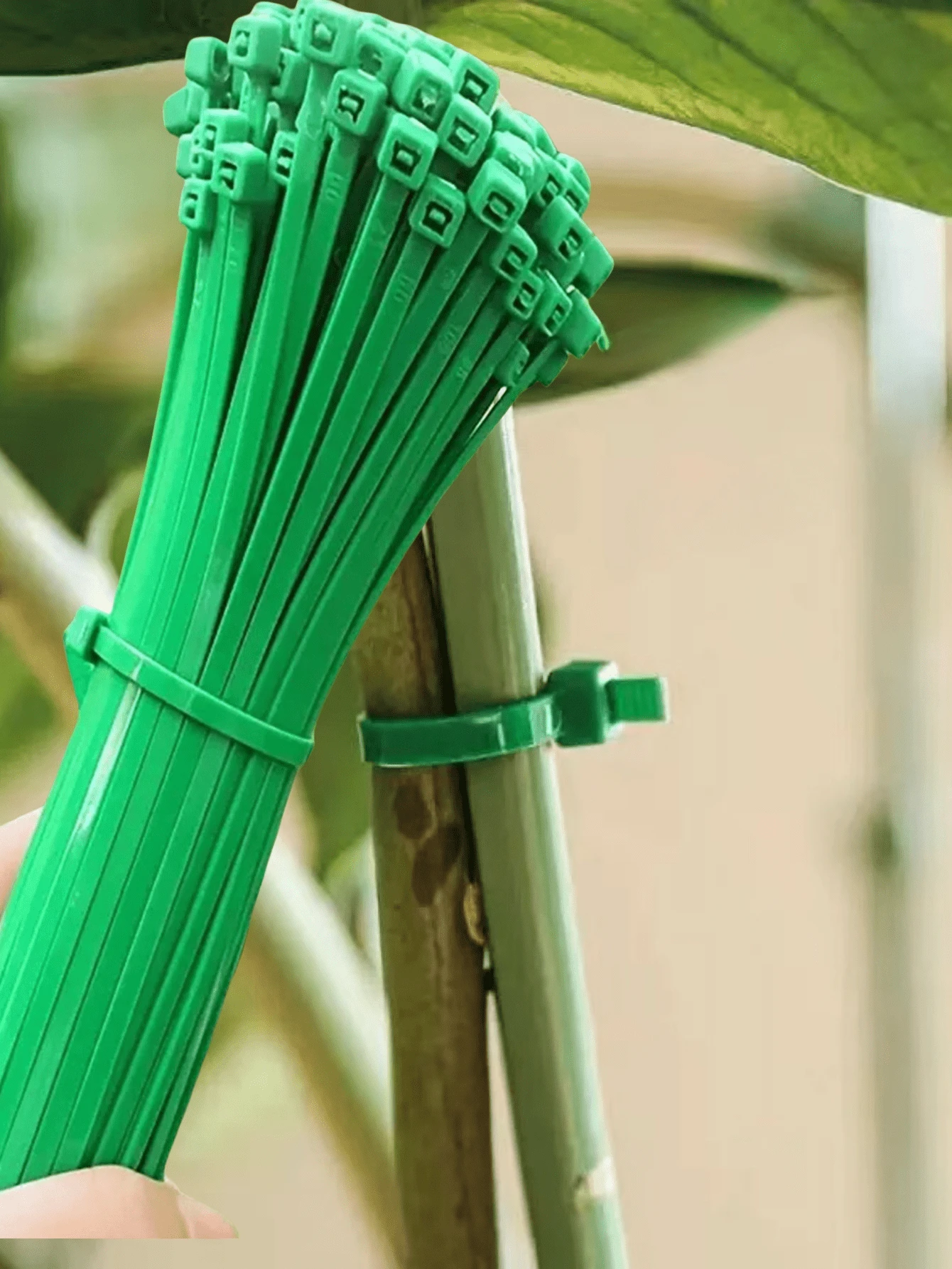 Fascette da giardino verdi, utilizzabili per piante, orti e utilizzi domestici