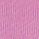 Rosa Fucsia