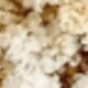 Blanco Marrón 1