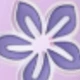 Morado claro/lavanda