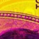 Multicolor