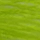 Fruit Green