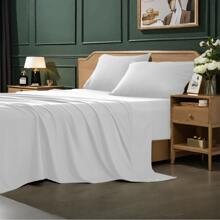 White-b079