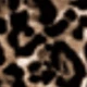 Nero + Leopardo