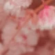 Aliento de bebé rosa claro