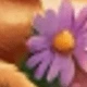 Flores y abejas