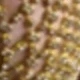 Multicolore